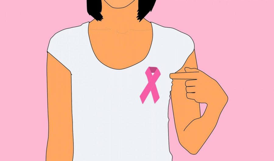 Breast+Cancer+Awareness+Month