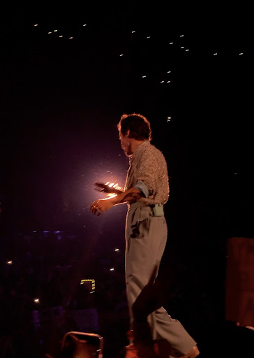 Harry Styles: Love On Tour Review