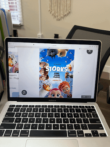 Movie Review: Storks